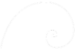 Fibonacci spiral graphic (1)